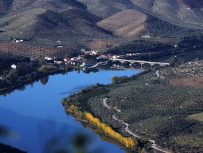 Visita por Freixo de Espada à Cinta